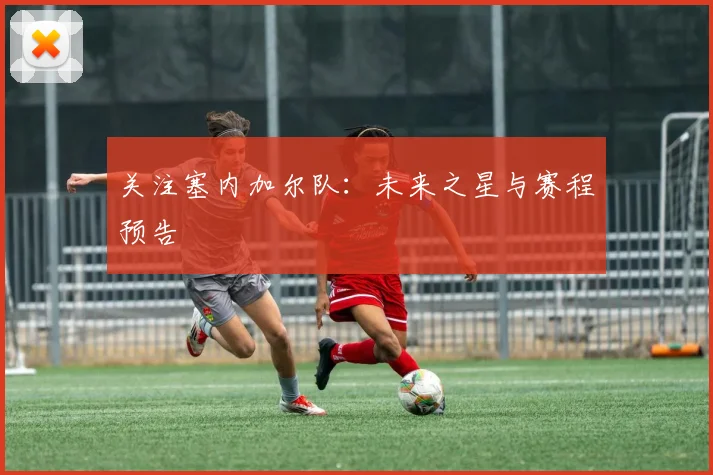 关注塞内加尔队:未来之星与赛程预告